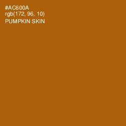 #AC600A - Pumpkin Skin Color Image